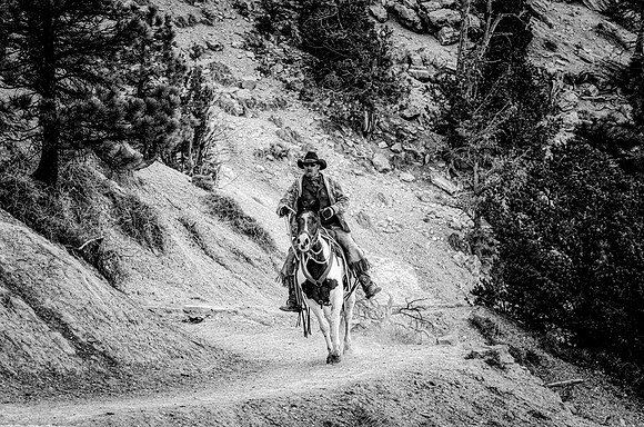 Cowboy