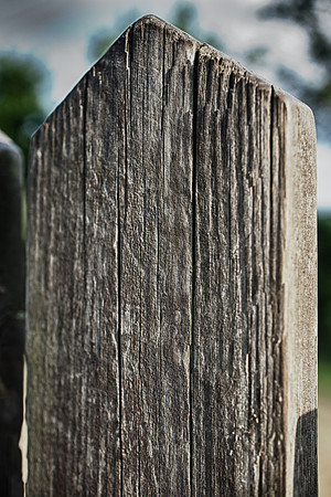 Fence