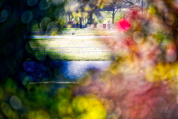 "natural window", bokeh, HDR, effects, Nikon, landscape, Bertazzoni, colors, nature, pond, fence, garden, plants, ears, leafs, roses, flowers, spring