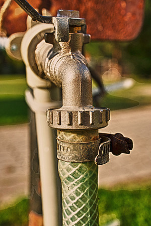 Tap & Water Reed