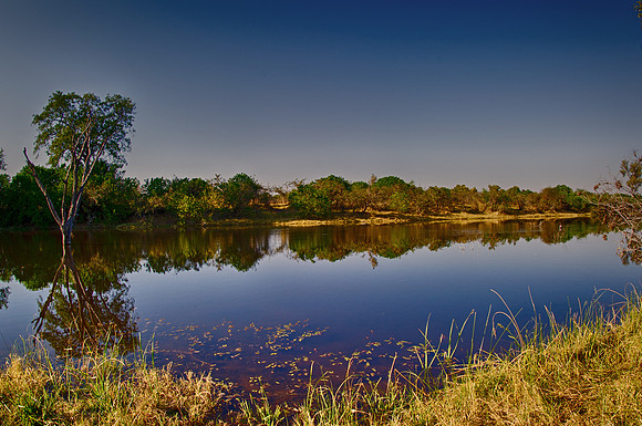savanna, Savuti, Botswana, river, water, safari, animals, vacation, Africa, nature, grass, hippos, crocks, fishes, Bertazzoni, Nikon,