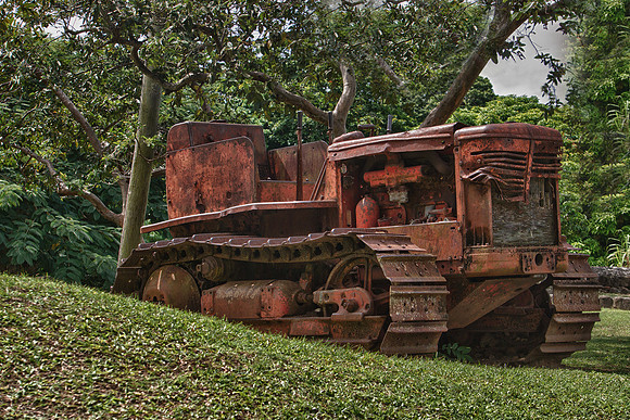 Old Crawler