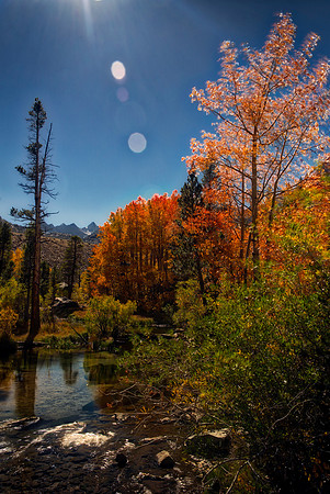 Bertazzoni, California, "Eastern Sierra", "Milky Way", "Mono Lake", Nikon, USA, aspens, "black & white", boats, clouds, colors, creek, dam, fishing, lake, leafs, minerals, mountains, nature, park, roc