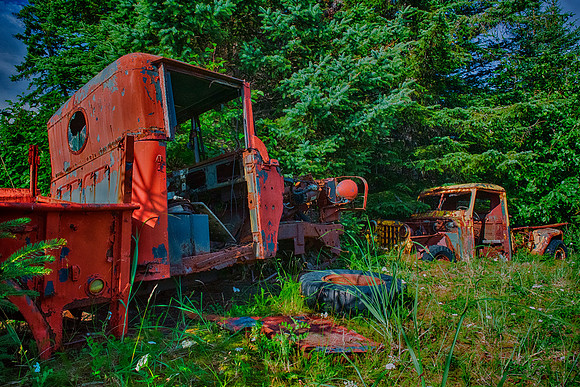 Abandoned Truck