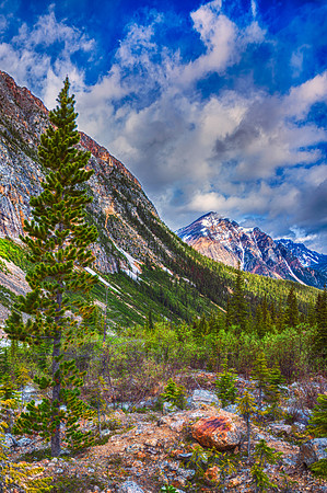 Scenic Mountains