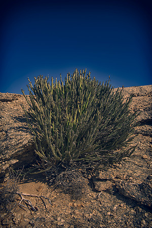 HDR, desert, scenic, details, artistic, rocks, sand, Nikon, landscape, Bertazzoni, Namibia, bush