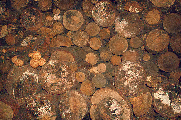 Chopped Wood
