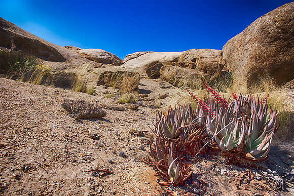 Bertazzoni, HDR, Namibia, "Namibia's Landscape", Nikon, artistic, colors, landscape, scenic