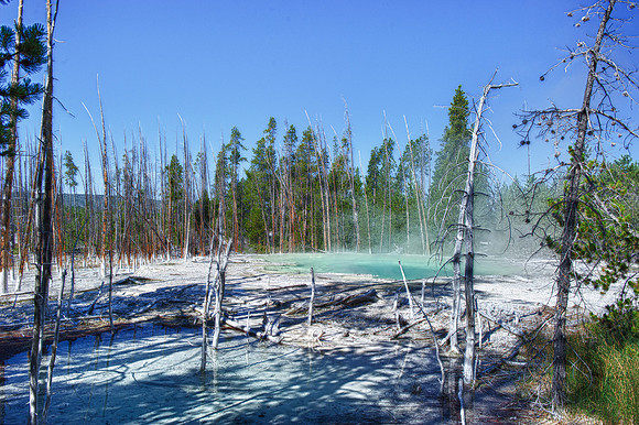 HDR, steam, pond, nature, details, structure, colors, Yellowstone, scenic, artistic, colors
