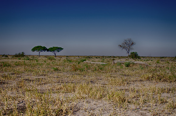savanna, Savuti, Botswana, river, water, safari, animals, vacation, Africa, nature, grass, hippos, crocks, fishes, Bertazzoni, Nikon,