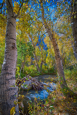 Bertazzoni, California, "Eastern Sierra", "Milky Way", "Mono Lake", Nikon, USA, aspens, "black & white", boats, clouds, colors, creek, dam, fishing, lake, leafs, minerals, mountains, nature, park, roc