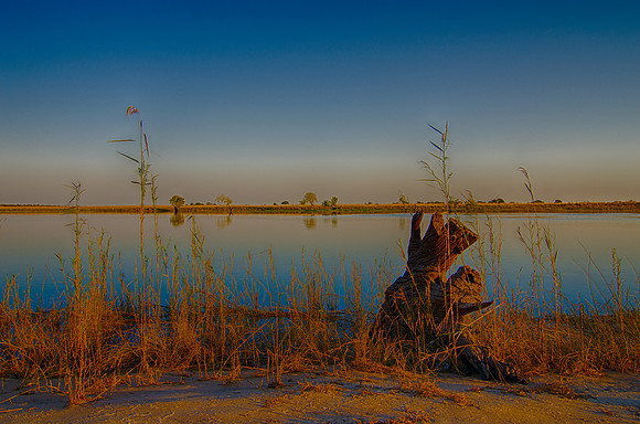 river, HDR, bertazzoni, colors, structure, details, "cane thicket", sand, artistic