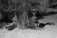 Old Pipes