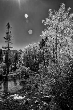 Bertazzoni, California, "Eastern Sierra", "Milky Way", "Mono Lake", Nikon, USA, aspens, "black & white", boats, clouds, colors, creek, dam, fishing, lake, leafs, minerals, mountains, nature, park, roc
