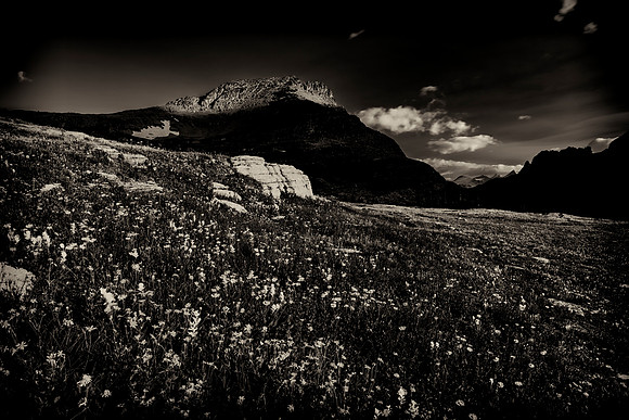 Logan Pass