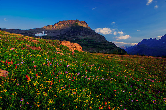 Logan Pass