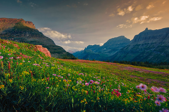 Logan Pass