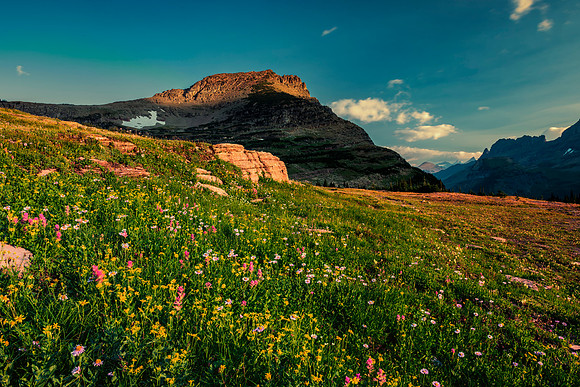 Logan Pass