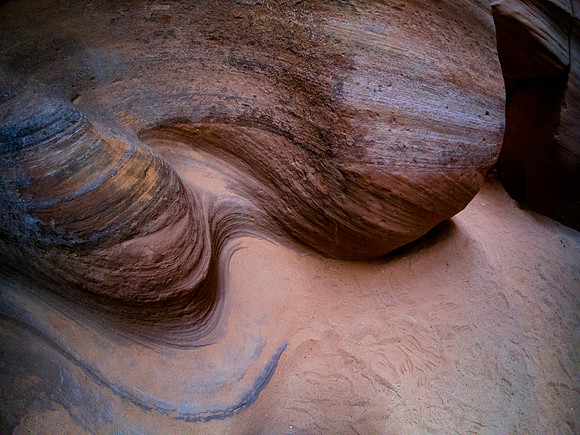 Canyon X