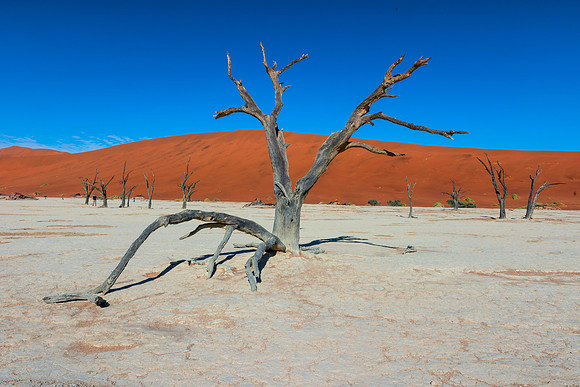 Dead Vlei