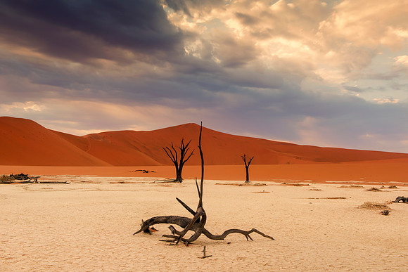 Bertazzoni, Damaraland, "Dead Vlei", "Giants Playground", Namibia, "Namibia's Landscape", "Naukluft National Park", Nikon, Panorama, "Quiver Tree", bushes, clouds, colors, desert, details, dry, rocks,