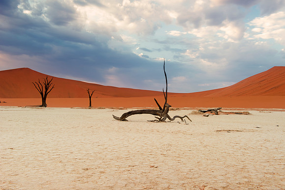 Bertazzoni, Damaraland, "Dead Vlei", "Giants Playground", Namibia, "Namibia's Landscape", "Naukluft National Park", Nikon, Panorama, "Quiver Tree", bushes, clouds, colors, desert, details, dry, rocks,