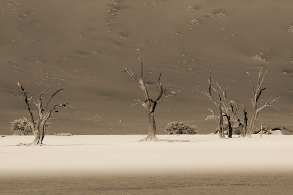 Bertazzoni, Damaraland, "Dead Vlei", "Giants Playground", Namibia, "Namibia's Landscape", "Naukluft National Park", Nikon, Panorama, "Quiver Tree", bushes, clouds, colors, desert, details, dry, rocks,