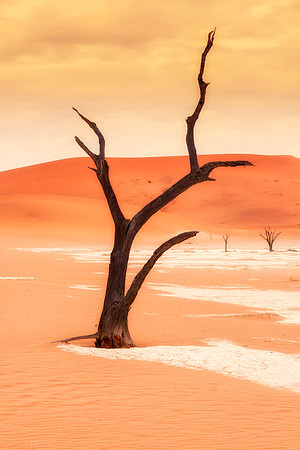 Bertazzoni, Damaraland, "Dead Vlei", "Giants Playground", Namibia, "Namibia's Landscape", "Naukluft National Park", Nikon, Panorama, "Quiver Tree", bushes, clouds, colors, desert, details, dry, rocks,