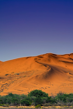 Bertazzoni, Damaraland, Namibia, "Namibia's Landscape", Nikon, bushes, clouds, colors, desert, details, dry, rocks, sand, scenic, sky, stones, panorama, dune, Africa