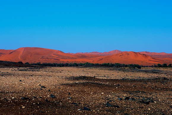 Bertazzoni, Namibia, "Namibia's Landscape", Nikon, bushes, clouds, colors, desert, details, dry, rocks, sand, scenic, scenic, sky, sky, stones