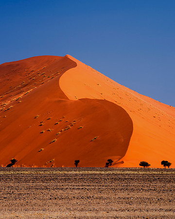 Africa, Bertazzoni, Damaraland, Namibia, "Namibia's Landscape", Naukluft, "Naukluft National Park", Nikon, bushes, clouds, colors, desert, details, dry, dune, panorama, rocks, sand, scenic, sky, stone