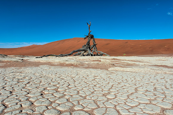 Dead Vlei