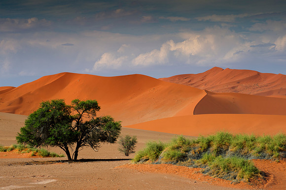 Africa, Bertazzoni, Damaraland, Namibia, "Namibia's Landscape", Naukluft, "Naukluft National Park", Nikon, bushes, clouds, colors, desert, details, dry, dune, panorama, rocks, sand, scenic, sky, stone