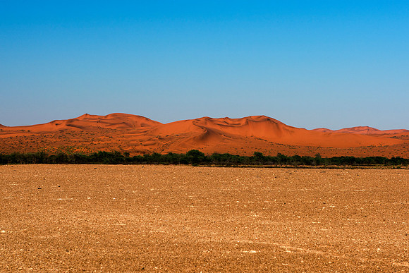 Bertazzoni, Namibia, "Namibia's Landscape", Nikon, bushes, clouds, colors, desert, details, dry, rocks, sand, scenic, scenic, sky, sky, stones
