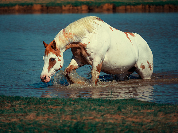 Refreshment