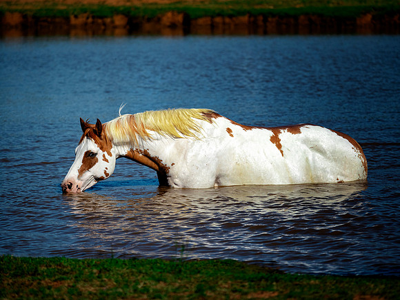 Refreshment