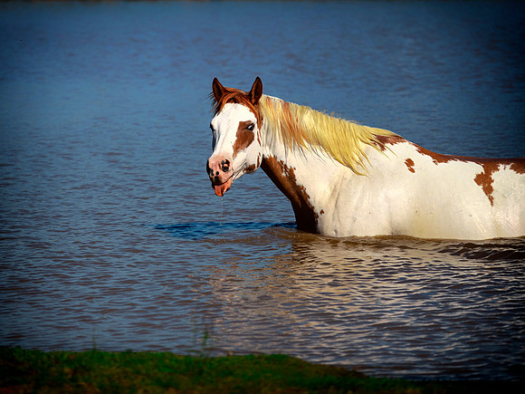 Refreshment