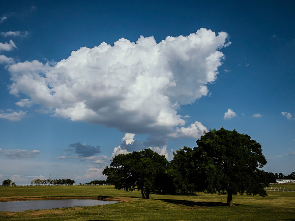 Cloud