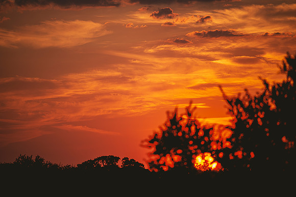Sky's on Fire