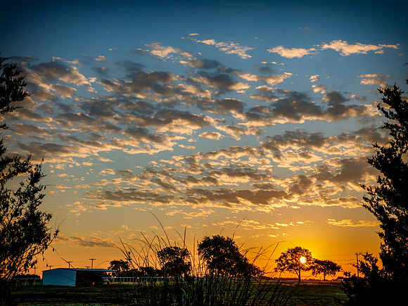 Texas Sunrise