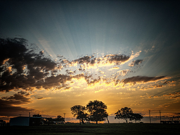 Rays