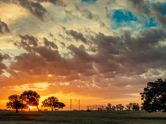 Texas Sunrise