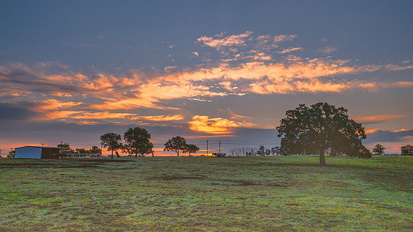 Lovely Dawn