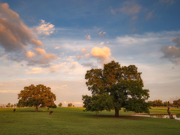 Warm Atmosphere