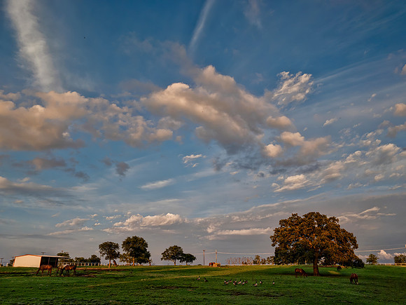 Clouds