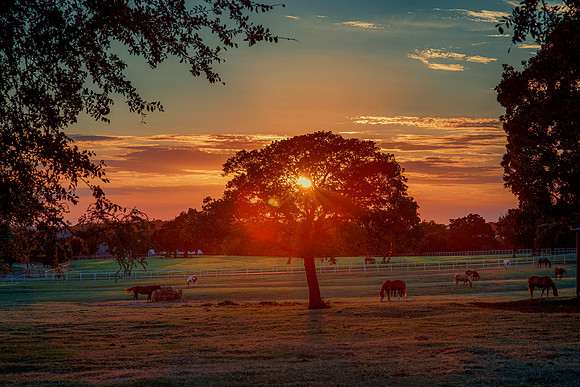 Sunset