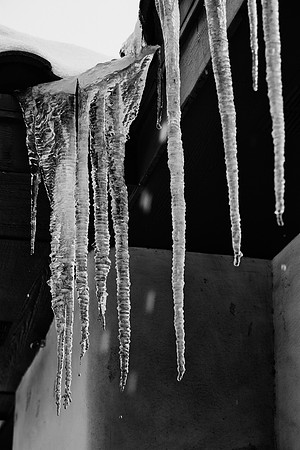 "ice cones", " melting ice", ice, water, leaking, nature, yard, winter, Nikon, Bertazzoni, abstract, artistic, "black & white", cold, freezing