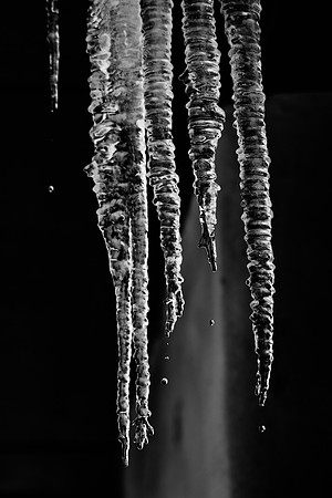 "ice cones", " melting ice", ice, water, leaking, nature, yard, winter, Nikon, Bertazzoni, abstract, artistic, "black & white", cold, freezing, Tears