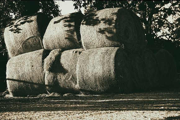 "round bales", hay, farm, farming, livestock, "black & white", artistic, shades, details, structure, Nikon, Bertazzoni, bailing,