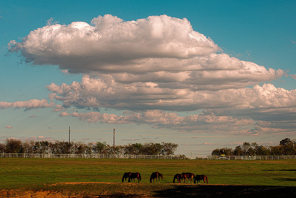 sky scape, scenic, nature, sky, clouds, horses, nature, Bertazzoni, Nikon, colors, details, structure